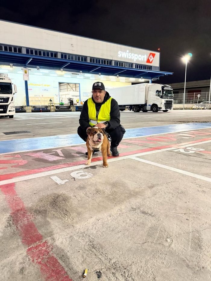 Retiro de una mascota en la zona de carga del aeropuerto