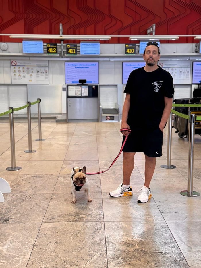 Mascota paseando con su transportista en el aeropuerto, tranquila y acompañada